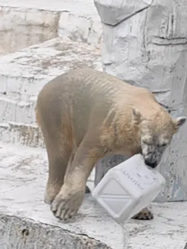 天王寺動物園に投稿された画像（2023/6/13）