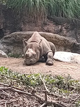 天王寺動物園に投稿された画像（2023/6/13）