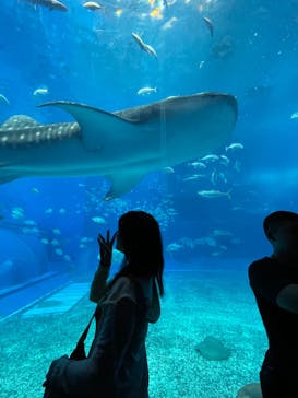 沖縄美ら海水族館に投稿された画像（2023/6/13）