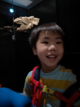 特別展「恐竜博2023」に投稿された画像（2023/6/13）