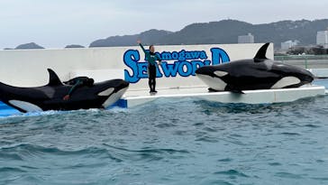 鴨川シーワールドに投稿された画像（2023/6/13）