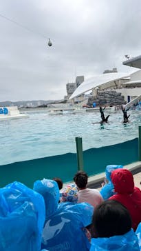 鴨川シーワールドに投稿された画像（2023/6/13）