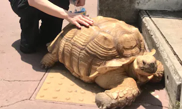 横浜・八景島シーパラダイスに投稿された画像（2023/6/13）