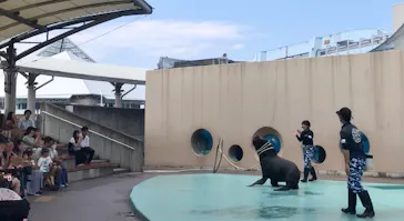 横浜・八景島シーパラダイスに投稿された画像（2023/6/13）
