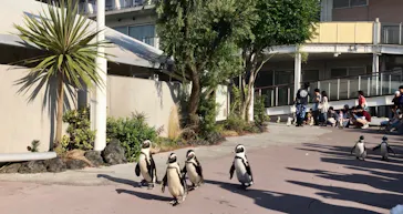 横浜・八景島シーパラダイスに投稿された画像（2023/6/13）