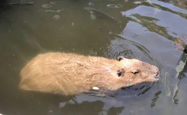 横浜・八景島シーパラダイスに投稿された画像（2023/6/13）