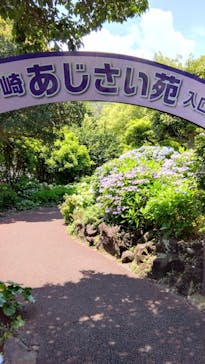 ニューヨークランプミュージアム＆フラワーガーデンに投稿された画像（2023/6/13）