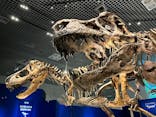 特別展「恐竜博2023」に投稿された画像（2023/6/13）
