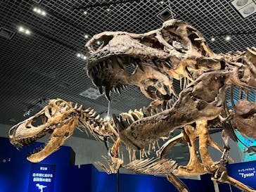 特別展「恐竜博2023」に投稿された画像（2023/6/13）