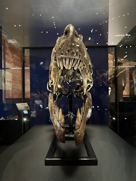 特別展「恐竜博2023」に投稿された画像（2023/6/13）