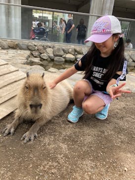 那須どうぶつ王国に投稿された画像（2023/6/13）