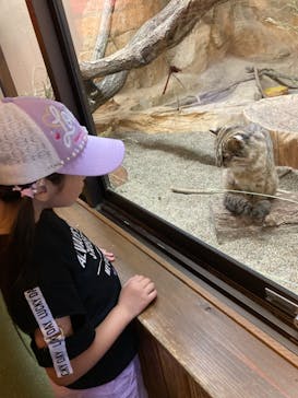 那須どうぶつ王国に投稿された画像（2023/6/13）