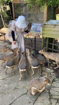 伊豆シャボテン動物公園に投稿された画像（2023/6/13）