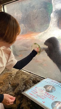 伊豆シャボテン動物公園に投稿された画像（2023/6/13）