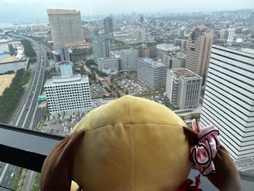 福岡タワーに投稿された画像（2023/6/14）