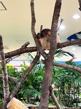 ひらかたパークに投稿された画像（2023/6/14）