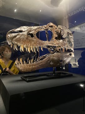 特別展「恐竜博2023」に投稿された画像（2023/6/14）