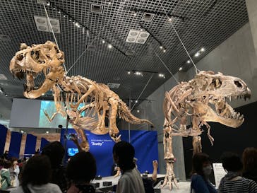 特別展「恐竜博2023」に投稿された画像（2023/6/14）