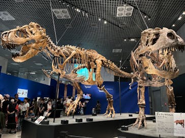 特別展「恐竜博2023」に投稿された画像（2023/6/14）