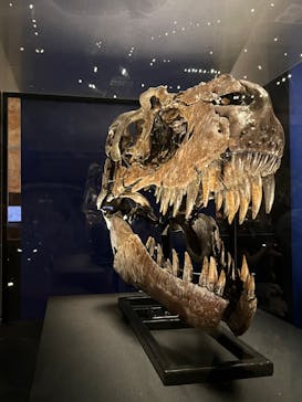 特別展「恐竜博2023」に投稿された画像（2023/6/14）