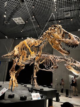 特別展「恐竜博2023」に投稿された画像（2023/6/14）
