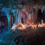 石垣島鍾乳洞に投稿された画像（2023/6/14）