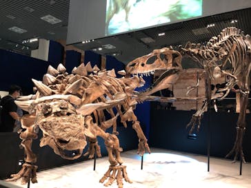 特別展「恐竜博2023」に投稿された画像（2023/6/14）