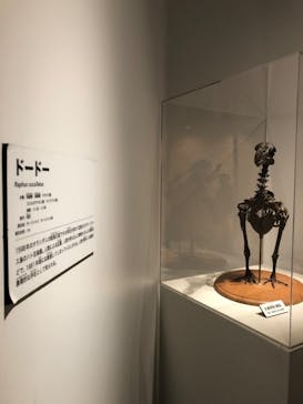 特別展「恐竜博2023」に投稿された画像（2023/6/14）