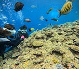 青の洞窟専門店　沖縄ダイビングショップ和に投稿された画像（2023/6/14）