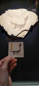 特別展「恐竜博2023」に投稿された画像（2023/6/14）