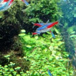 すみだ水族館に投稿された画像（2023/6/14）