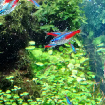 すみだ水族館に投稿された画像（2023/6/14）