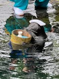 箱根園水族館に投稿された画像（2023/6/14）