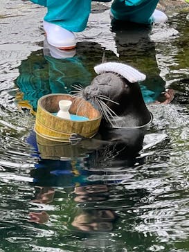 箱根園水族館に投稿された画像（2023/6/14）