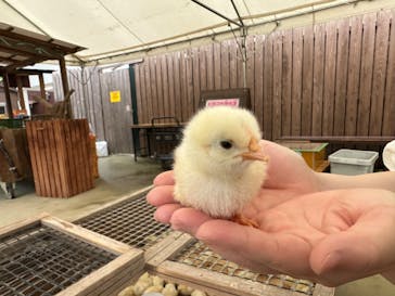 しろとり動物園に投稿された画像（2023/6/14）