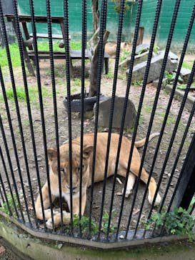 しろとり動物園に投稿された画像（2023/6/14）