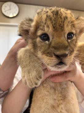 しろとり動物園に投稿された画像（2023/6/14）