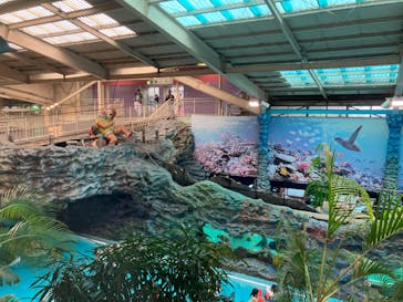 スパリゾートハワイアンズに投稿された画像（2023/6/14）