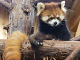 伊豆シャボテン動物公園に投稿された画像（2023/6/15）