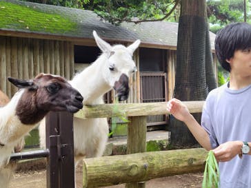 伊豆シャボテン動物公園に投稿された画像（2023/6/15）