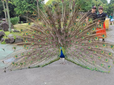 伊豆シャボテン動物公園に投稿された画像（2023/6/15）