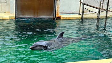 伊豆・三津シーパラダイスに投稿された画像（2023/6/15）