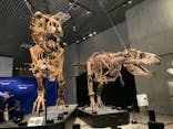 特別展「恐竜博2023」に投稿された画像（2023/6/15）