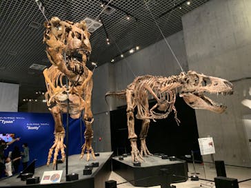 特別展「恐竜博2023」に投稿された画像（2023/6/15）