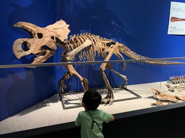 特別展「恐竜博2023」に投稿された画像（2023/6/15）