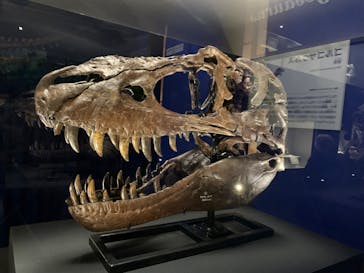 特別展「恐竜博2023」に投稿された画像（2023/6/15）