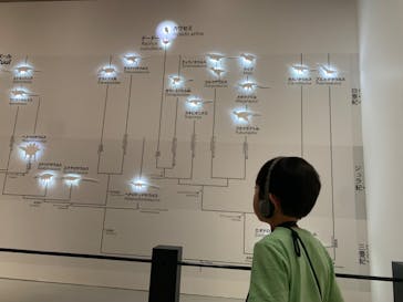 特別展「恐竜博2023」に投稿された画像（2023/6/15）