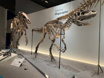 特別展「恐竜博2023」に投稿された画像（2023/6/15）