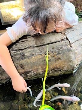 体感型動物園iZooに投稿された画像（2023/6/15）