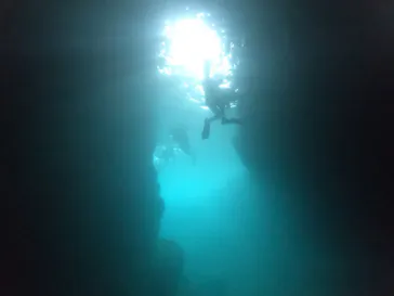 武藤潜水に投稿された画像（2023/6/15）